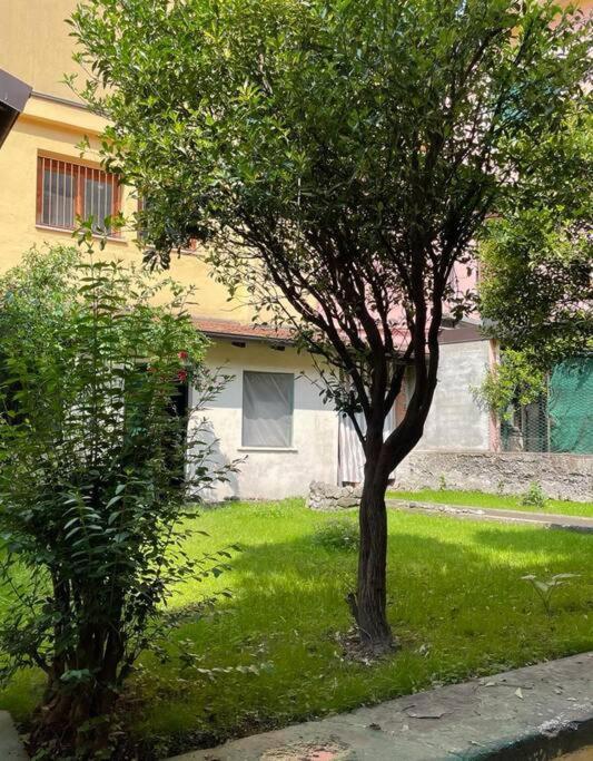 Il Giardino Nascosto Appartement Omegna Buitenkant foto